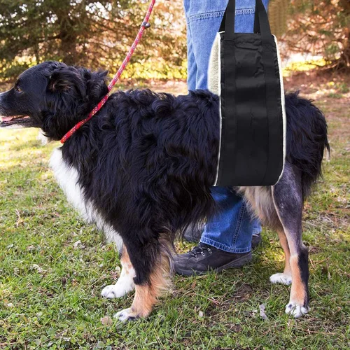 Miniatura 4 de Hevy Duty Arnés portátil de elevación para perros de 20 a 150 libras, arnés de elevación portátil para patas traseras, arnés de cadera para perros
