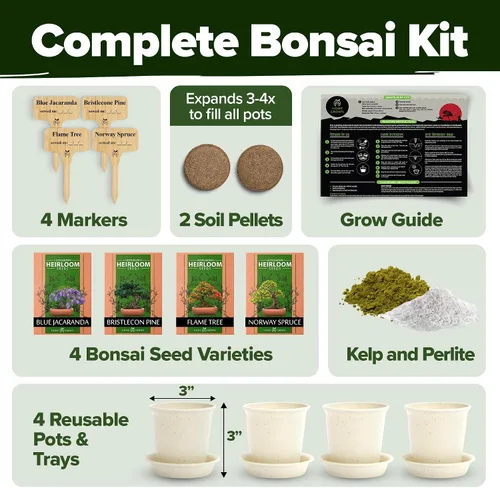 Miniatura 3 de HOME GROWN Más de 23,500 semillas de rosa musgo y árbol bonsái Kit de regalo para hombres y mujeres - Cultiva 4 árboles bonsái