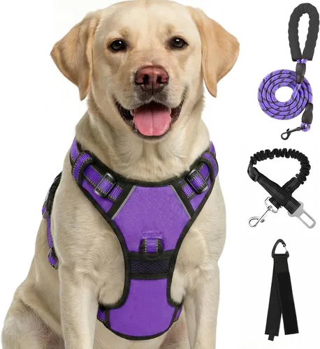 Miniatura 8 de FURRYFECTION Arnés a cuadros para perros pequeños, chaleco reflectante ajustable sin tirones para mascotas con clip frontal, correa, asa de fácil