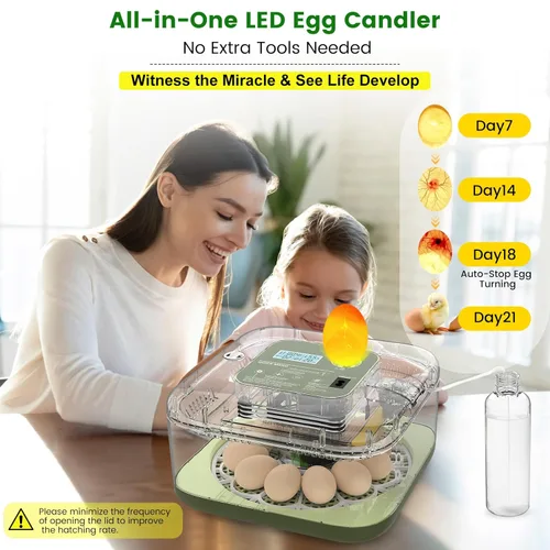 Miniatura 6 de Incubadora de 12 huevos con giro automático, recarga automática de agua y control de temperatura/humedad, además de guía de eclosión, criador