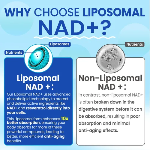 Miniatura 5 de Suplemento liposomal Nad+ para mujeres y hombres - Gomitas Nad de absorción máxima más resveratrol, fisetina, quercetina, TMG, cafeína, B12