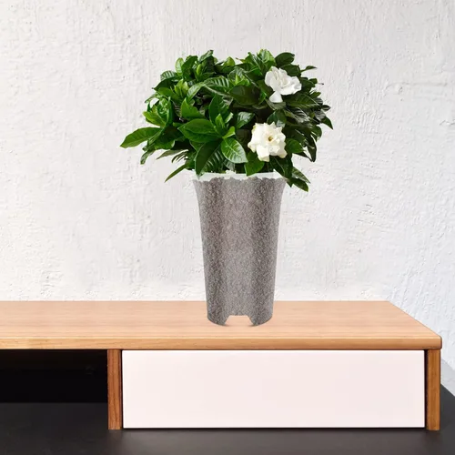 Miniatura 4 de DOITOOL 5 macetas de plástico transparente para orquídeas, macetas con agujeros, transpirables, altas, para interiores y exteriores, plantas
