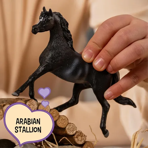 Miniatura 2 de Schleich Horse Club - Figura de semental árabe Rabicano - Figuras de poni para niñas y niños - Juguetes para niños a partir de 5 años