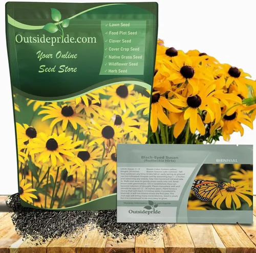 Outsidepride Black Eyed Susan Rudbeckia Seeds - Semillas de flores perennes, fáciles de cultivar y auto-siembradas para plantar flores amarillas