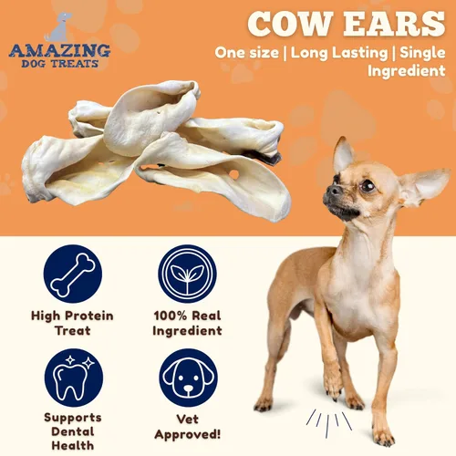 Miniatura 2 de Amazing Dog Treats - Cow Ears for Dogs - Full Size (12 Pack) - Thick-Cut 100% Beef - All Natural Rawhide Alternative- Safe No Hide Dog Chew