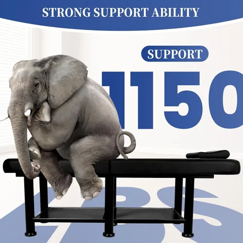 Miniatura 7 de Mesa de terapia física estacionaria plegable, cama de masaje con pecho abierto, cama de masaje ajustable en altura con respaldo, mesa de terapia