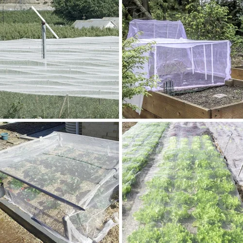 Miniatura 7 de Mosquitera, 8 x 24 pies, red para pájaros para protección de jardín, cubiertas de plantas de insectos para frutas vegetales, red de malla de jardín
