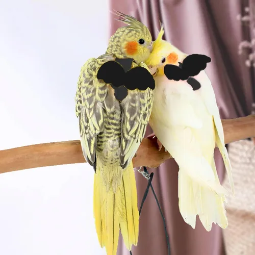 Miniatura 6 de Correas y arneses ajustables para pájaros, arnés de nailon para pájaros con bonito ala para loros, accesorios para pájaros para mascotas, correa