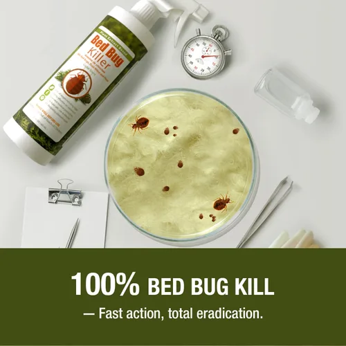 Miniatura 2 de EcoVenger (anteriormente EcoRaider) Mata insectos con rociador remoto de 1 galón – Mata al 100% todas las etapas al contacto, mata insectos