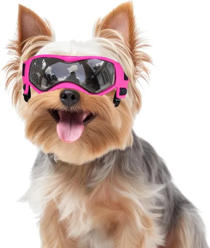 Miniatura 10 de Gafas de sol para perros de raza media, lentes de sol para perros pequeños, gafas de sol anti-UV para protección de ojos de mascotas, correas Rosa