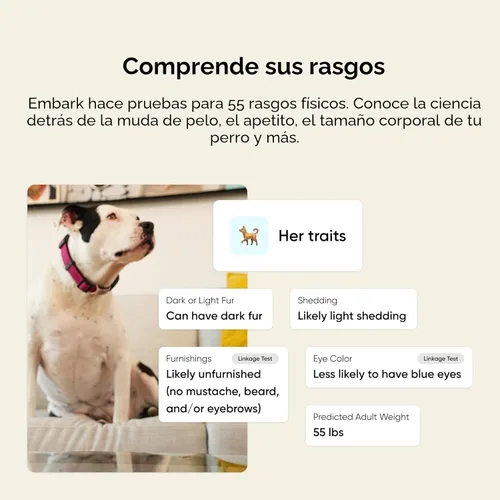 Miniatura 4 de Kit de raza y salud Embark - Kit de prueba de ADN para perros - Descubre raza, ascendencia, localizador de parientes, salud genética, rasgos