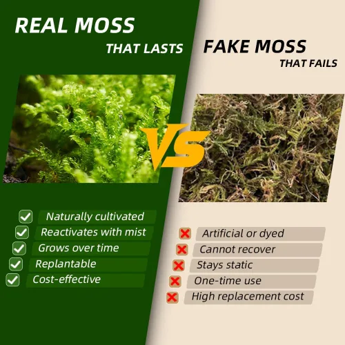 Miniatura 4 de Live Moss - Paquete de 4 (cada uno de 3.5 x 7 pulgadas), musgo mezclado real para terrarios, hábitats de reptiles, jardines de hadas y plantas