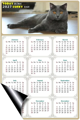 Miniatura 2 de Calendario magnético 2024 – Imanes del calendario – Today is my Lucky Day – Resistente a la decoloración, desgarros y agua – Temática de gato 014