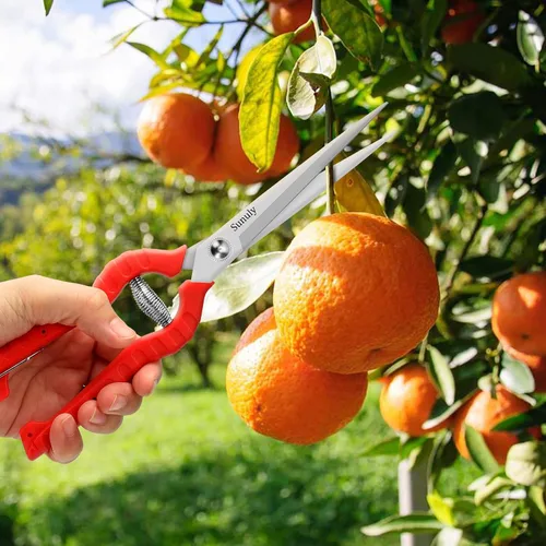 Miniatura 4 de Tijeras de podar extralargas, podadoras manuales de jardinería con cuchillas de acero inoxidable, tijeras de jardín para arreglar flores, recortar