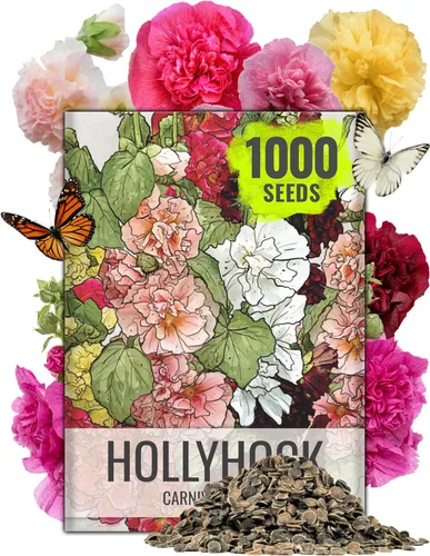 Seed Needs Hollyhock Seeds - Carnaval mixto | Más de 1,000 semillas de flores tradicionales Alcea rosea | Mezcla bienal de flores silvestres que