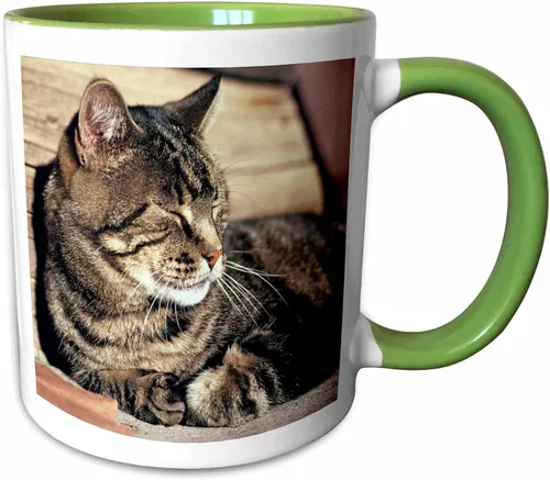 Miniatura 13 de 3dRose (mug_94870_1) Utah, Capitol Reef NP. Sleeping atigrado cat - US45 RER0114 - Ric Ergenbright - Taza de cerámica, 11 onzas Blanco