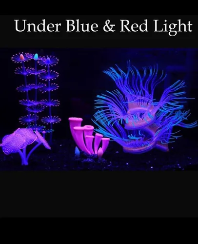 Miniatura 3 de ZtohPyo 4 piezas de decoración de pecera de acuario con efecto brillante, adorno artificial de silicona brillante, plantas de arrecife de coral