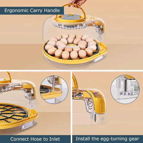 Miniatura 4 de Incubadoras para incubar huevos, incubadora de 18 huevos con vela de huevos, girador automático de huevos, control de temperatura y humedad, día