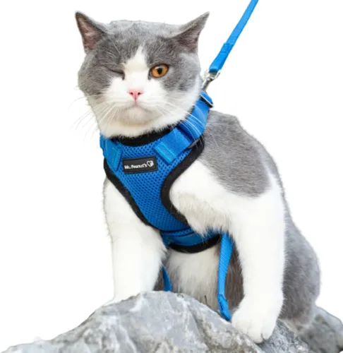 Mr. Peanut's PurrTrek Arnés reflectante para gatos con correa a juego (extra pequeño, azul)