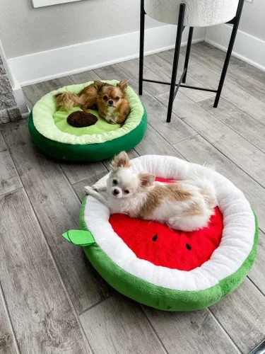 Miniatura 4 de TONBO Cama de Felpa Suave Pequeña Linda y Acogedora de Aguacate para Perros y Gatos, Compatible con Lavadora y Secadora (Aguacate)
