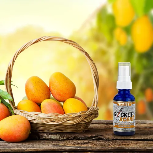 Miniatura 8 de Rocket Scent - Ambientadores de aceite + eliminador de olores y humo + desodorante para el hogar, automóvil, oficina, baño (aromas aventureros)