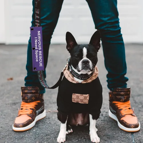 Miniatura 5 de Funda para correa para perro nervioso, espacio de rescate nervioso, parche para perro con distanciamiento social (espacio de rescate nervioso)