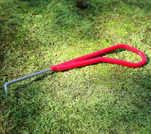 Miniatura 4 de KAKURI Gancho de raíz de bonsái, herramienta profesional de 8.6 pulgadas, acero inoxidable japonés, rojo, fabricado en Japón