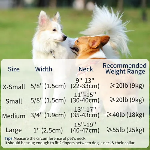 Miniatura 3 de Mile High Life Collar para perro Collares reflectantes de nailon para perros Collares ligeros para cachorros Collares rosados para perros 3