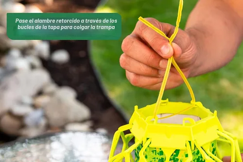 Miniatura 8 de RESCUE! VisiLure® TrapStik para avispas, barro, abejas carpinteras, paquete de 2