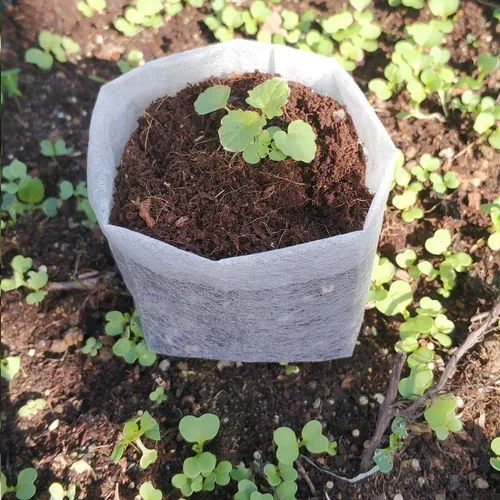 Miniatura 2 de Belit Bolsas de cultivo para guardería, 100 macetas de tela no tejidas para plantar semillas de jardinería, papa, flores, plantas de tomate