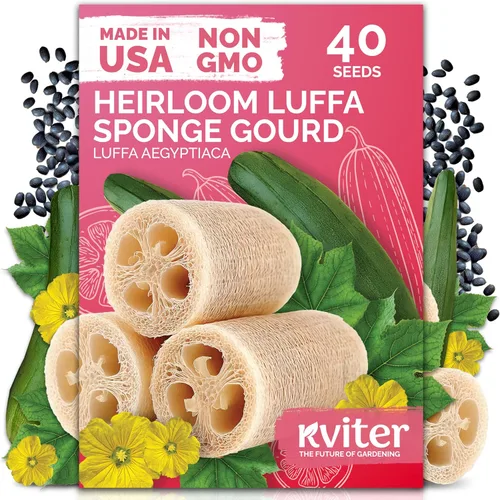 Miniatura 25 de KVITER 325 semillas de tomates gigantes (Solanum lycopersicum) – Filete de ternera paquetes de semillas de tomate – Tomates tradicionales – Semillas