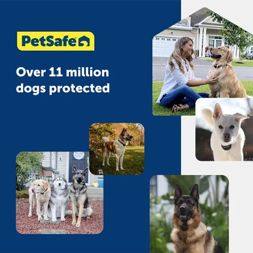 Miniatura 6 de PetSafe Valla Básica Subterránea para Mascotas, Valla Subterránea para Perros, Contención Eléctrica para Mascotas, Collar Impermeable para Perros
