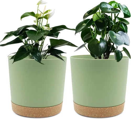 Miniatura 16 de QCQHDU Maceta de 8 pulgadas, paquete de 2 macetas para plantas de interior con agujeros de drenaje y platillo, macetas para exteriores, decoración