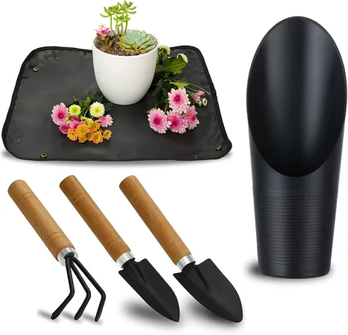 Miniatura 10 de 11 piezas de herramientas para suculentas, mini herramientas de jardín, herramienta de riego de suculentas como accesorios para plantas, kit