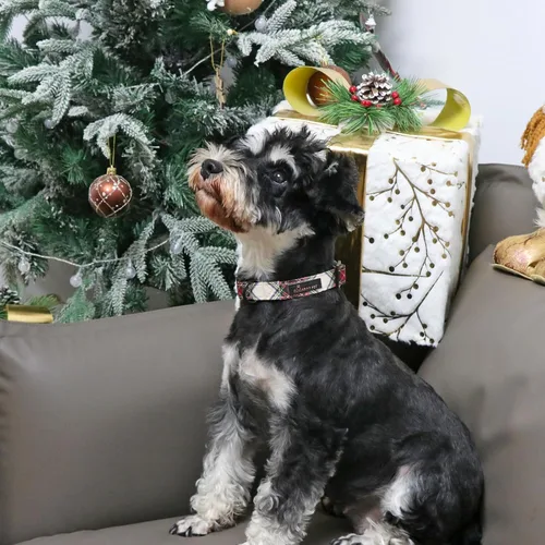 Miniatura 4 de Aring Pet Collar de Navidad para perro, lindo, de algodón, cuadros rojos y verdes, ligeros, para cachorros, para perros pequeños, medianos y Navidad