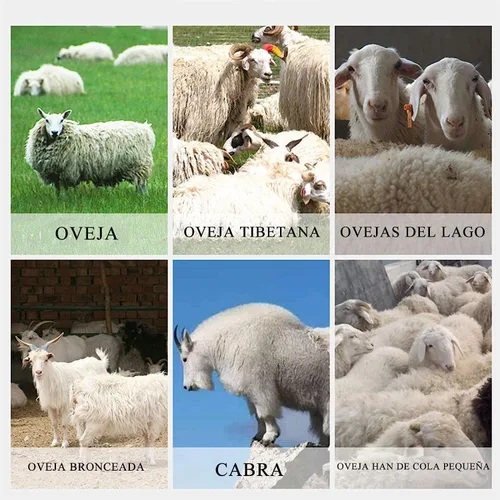 Miniatura 4 de CGOLDENWALL Cizalla de ovejas eléctrica portátil profesional con 6 velocidades ajustables para caballos, ganado, cabras, poni verde, 110 V
