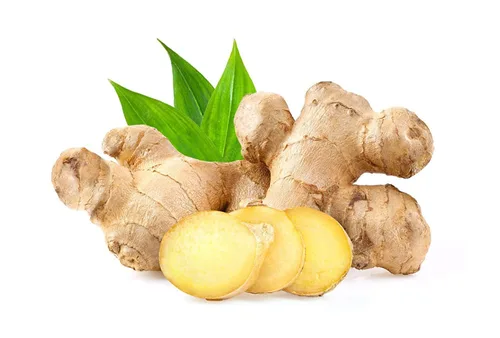 Miniatura 6 de GINGER - Juego de champú y acondicionador médico (champú y acondicionador), 2.2 libras, 27.0 onzas líquidas