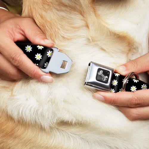 Miniatura 8 de Collar de perro hebilla de cinturón de seguridad margaritas dispersas negro blanco amarillo 9 a 15 pulgadas 1.0 pulgadas ancho