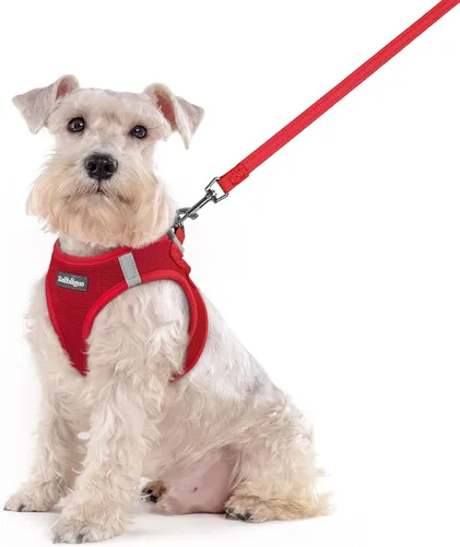 Miniatura 57 de rabbitgoo Juego de arnés para perro de tamaño pequeño y correa, chaleco ligero suave para cachorro, arnés de malla transpirable para mascotas