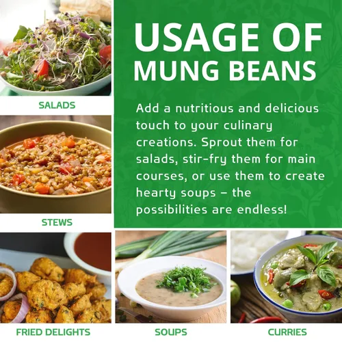 Miniatura 3 de Jiva Organics Frijoles de Mung Orgánicos Enteros 4 LB Bolsa GRANDE - Frijol Verde de Mung