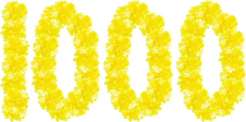 Regal Bingo Chips de bingo de plástico, 1000 piezas, juego de fichas transparentes transparentes para juegos de mesa, divertida noche de bingo