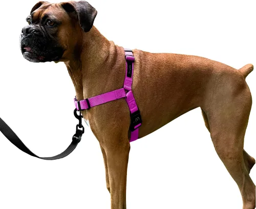 Miniatura 17 de ShawnCo Dream Walk Arnés para Perros Sin Tirones - Ajustable, Cómodo, Fácil de Usar, Cabestro para Mascotas para Ayudar a Detener los Tirones