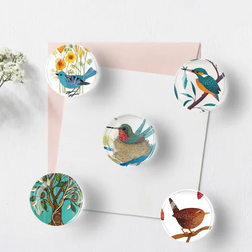 Miniatura 3 de 12 imanes de pájaros para refrigerador, imán redondo magnético de vidrio para decoración de nevera para taquilla, oficina escolar, pizarra blanca