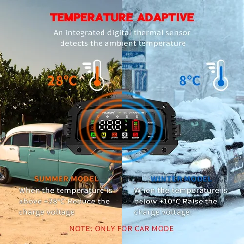 Miniatura 7 de Cargador de batería de coche 25A, 12V/24V LiFePO4 cargador de batería automotriz, cargador de goteo de amplificador ajustable con detección