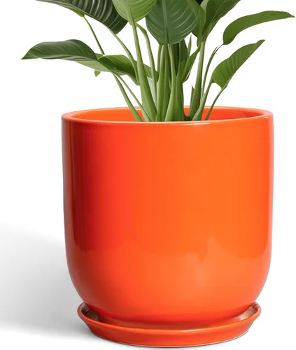 Miniatura 27 de Maceta de Cerámica para Plantas de Interior de 5 Pulgadas - Maceta Redonda para Plantas Suculentas con Agujero de Drenaje y Platillo, Decoración