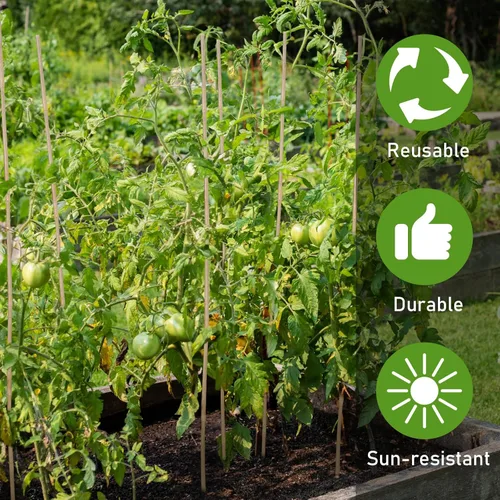 Miniatura 7 de Suzile 60 estacas de bambú a granel, estacas naturales para plantas de bambú para jardín, soporta escalada para tomates, frijoles, vegetales
