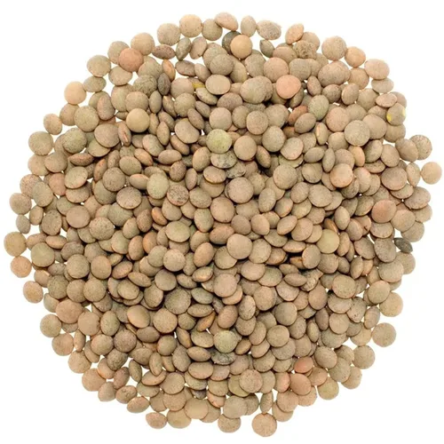 Miniatura 8 de Rani Desi Masoor (Masur) Entero 400oz (25lbs) 11.36kg (también conocido como Lentejas Pardina Españolas/Americanas Enteras Marrone) Caja a Granel ~