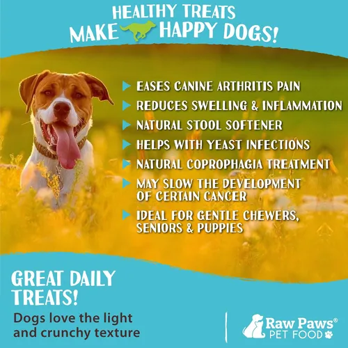 Miniatura 5 de Raw Paws Palitos de tripa de cordero verde para perros (25 unidades) – Un solo ingrediente, alimentado con pasto y corral libre – Golosinas