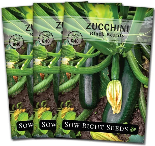 Miniatura 8 de Sow Right Seeds - Semillas de calabacín Black Beauty para plantar - Paquete de reliquia sin OMG con instrucciones para plantar un huerto doméstico