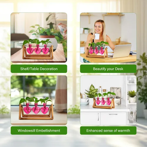 Miniatura 8 de XXXFLOWER Estaciones de propagación de terrarios de plantas, regalos únicos para mujeres, esposa, mamá, amantes de las plantas, 3 jarrones